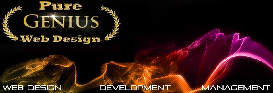 web design, web development, and web management