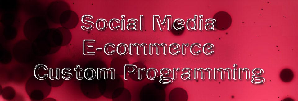 social media networking, ecommerce, custom programming